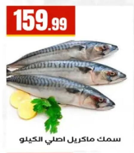 available at El Mahlawy Stores in Egypt - Cairo