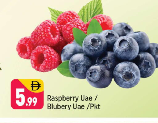 Raspberry available at شكلان ماركت in الإمارات العربية المتحدة , الامارات - دبي