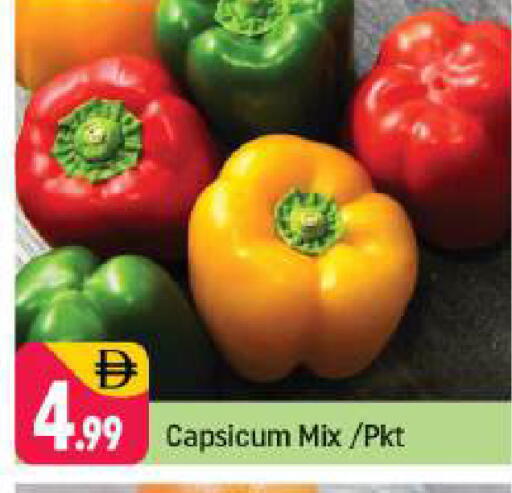 Capsicum available at شكلان ماركت in الإمارات العربية المتحدة , الامارات - دبي