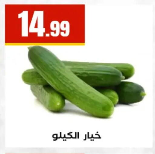 available at El Mahlawy Stores in Egypt - Cairo