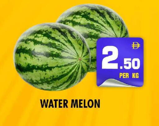 Melon available at نايت تو نايت in الإمارات العربية المتحدة , الامارات - دبي