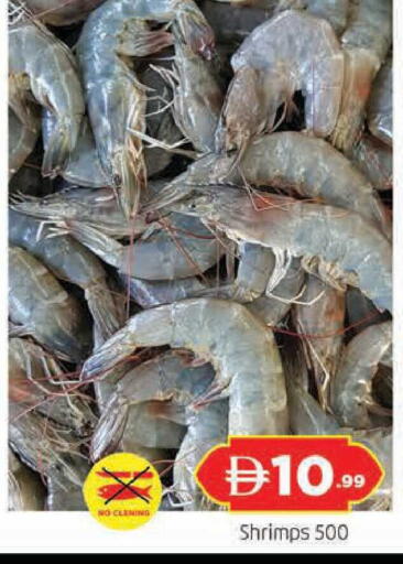 available at المدينة in الإمارات العربية المتحدة , الامارات - الشارقة / عجمان