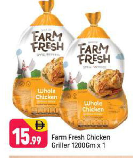 available at شكلان ماركت in الإمارات العربية المتحدة , الامارات - دبي