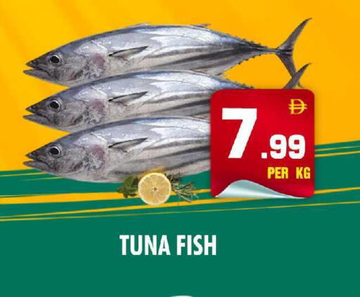 available at نايت تو نايت in الإمارات العربية المتحدة , الامارات - دبي