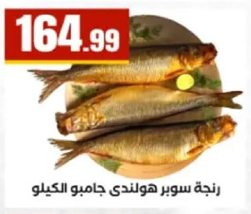 available at El Mahlawy Stores in Egypt - Cairo