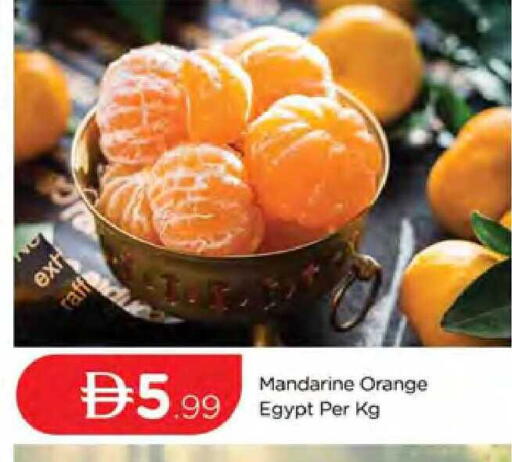 Orange from Egypt available at المدينة in الإمارات العربية المتحدة , الامارات - دبي