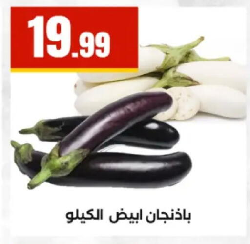 available at El Mahlawy Stores in Egypt - Cairo