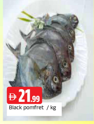 available at المدينة in الإمارات العربية المتحدة , الامارات - الشارقة / عجمان