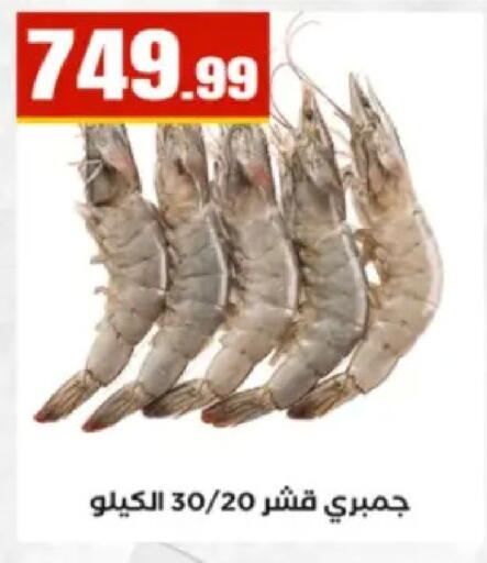 available at El Mahlawy Stores in Egypt - Cairo