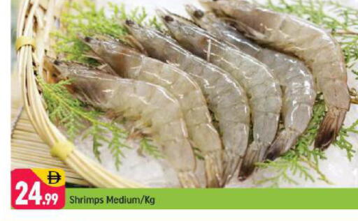 available at شكلان ماركت in الإمارات العربية المتحدة , الامارات - دبي