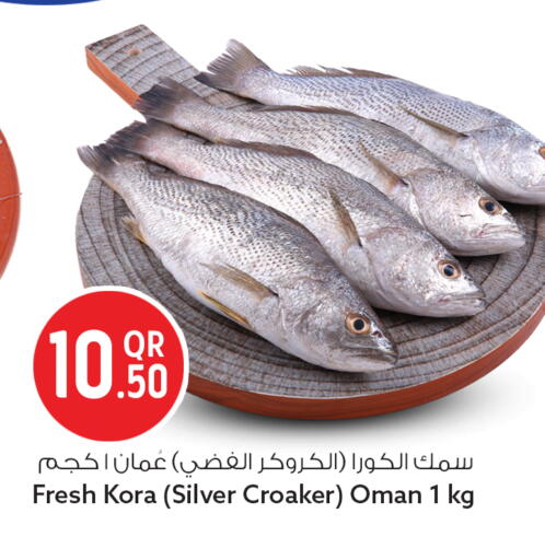 available at سفاري هايبر ماركت in قطر - الريان