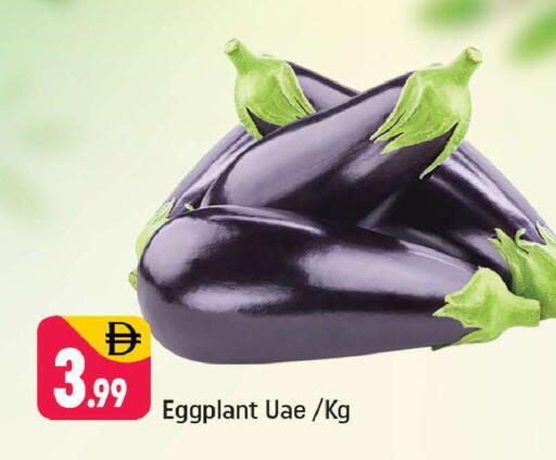 Eggplant available at شكلان ماركت in الإمارات العربية المتحدة , الامارات - دبي