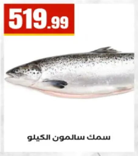 available at El Mahlawy Stores in Egypt - Cairo