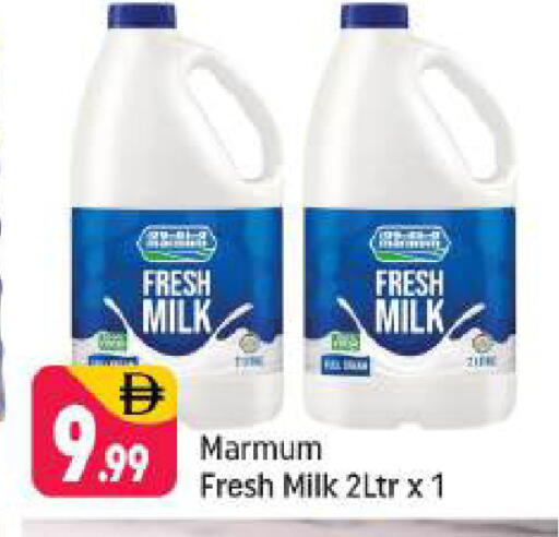 available at شكلان ماركت in الإمارات العربية المتحدة , الامارات - دبي