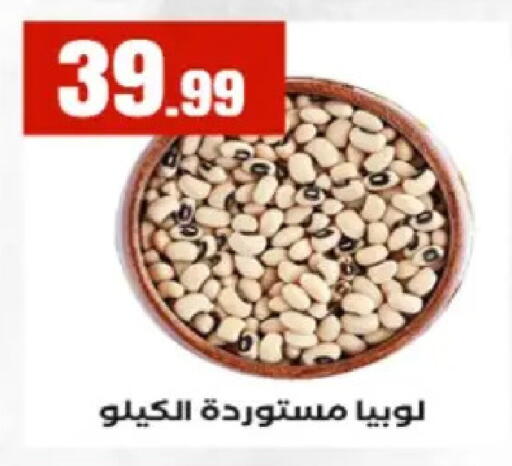 available at El Mahlawy Stores in Egypt - Cairo