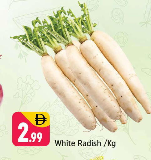 Radish available at شكلان ماركت in الإمارات العربية المتحدة , الامارات - دبي