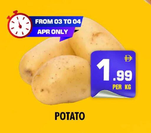 Potato available at نايت تو نايت in الإمارات العربية المتحدة , الامارات - دبي