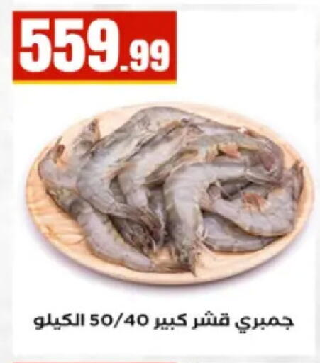 available at El Mahlawy Stores in Egypt - Cairo