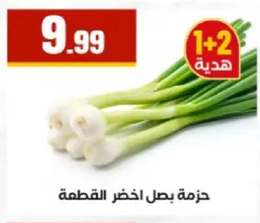 available at El Mahlawy Stores in Egypt - Cairo