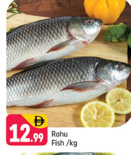 available at شكلان ماركت in الإمارات العربية المتحدة , الامارات - دبي