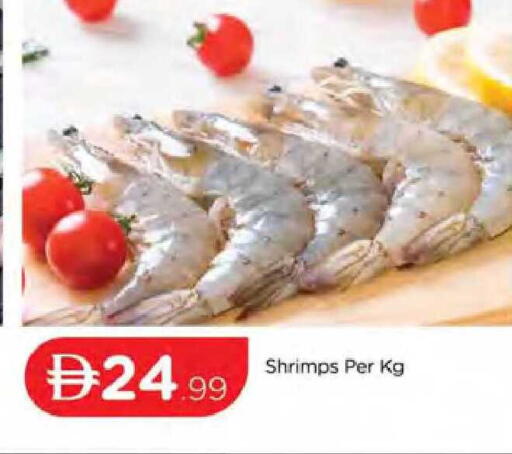 available at المدينة in الإمارات العربية المتحدة , الامارات - دبي