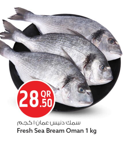 available at سفاري هايبر ماركت in قطر - الريان