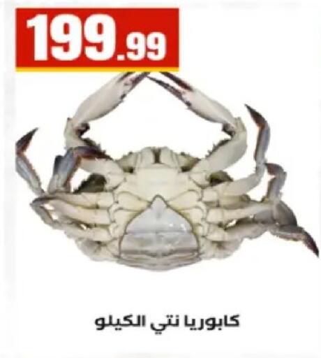 available at El Mahlawy Stores in Egypt - Cairo