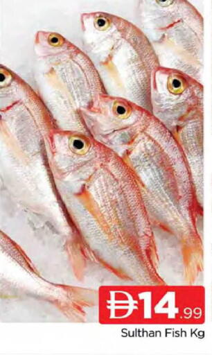 available at المدينة in الإمارات العربية المتحدة , الامارات - دبي