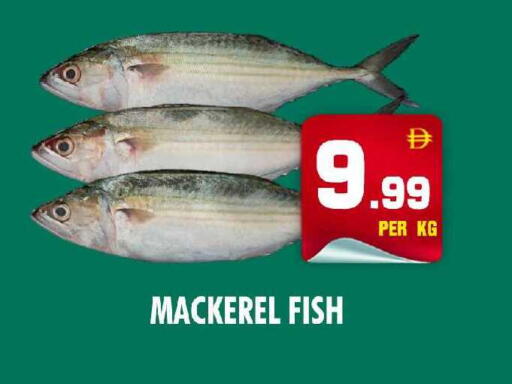 available at نايت تو نايت in الإمارات العربية المتحدة , الامارات - دبي