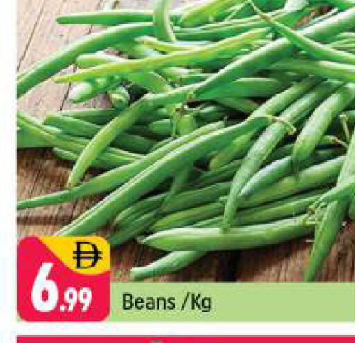 available at شكلان ماركت in الإمارات العربية المتحدة , الامارات - دبي