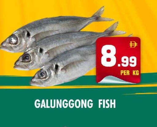 available at نايت تو نايت in الإمارات العربية المتحدة , الامارات - دبي