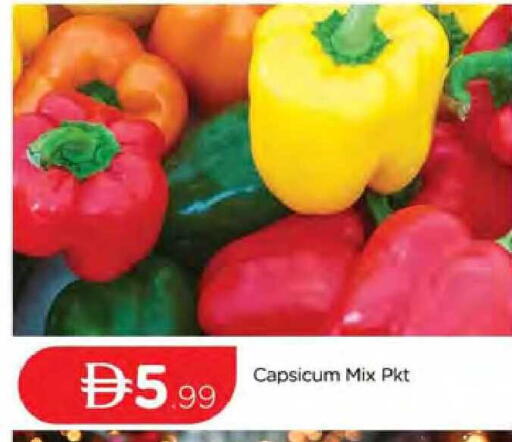 Capsicum available at المدينة in الإمارات العربية المتحدة , الامارات - دبي
