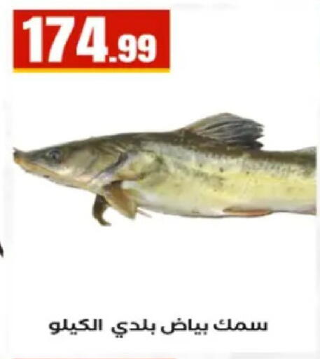 available at El Mahlawy Stores in Egypt - Cairo