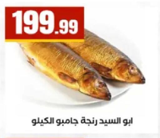 available at المحلاوي ستورز in Egypt - القاهرة