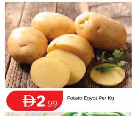 Potato from Egypt available at المدينة in الإمارات العربية المتحدة , الامارات - دبي