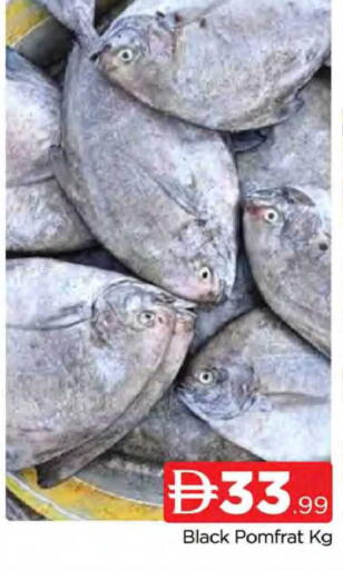 available at المدينة in الإمارات العربية المتحدة , الامارات - دبي