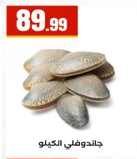 available at El Mahlawy Stores in Egypt - Cairo