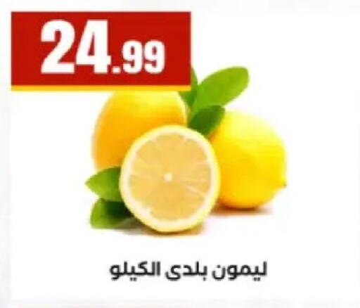 available at El Mahlawy Stores in Egypt - Cairo