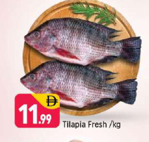 available at شكلان ماركت in الإمارات العربية المتحدة , الامارات - دبي