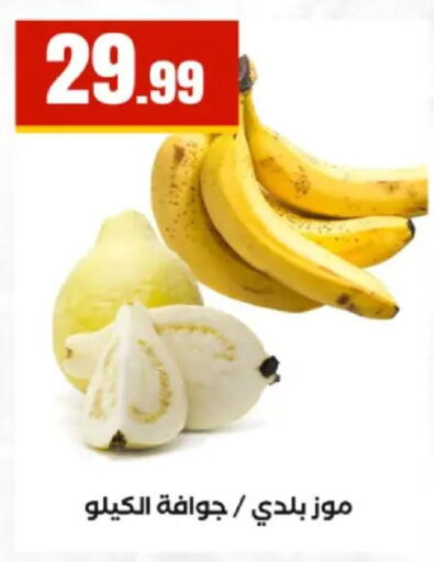 available at مارت فيل in Egypt - القاهرة