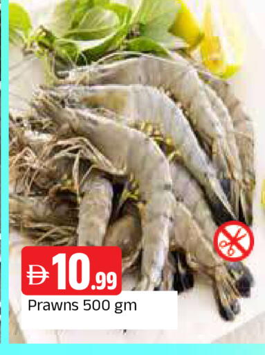 available at المدينة in الإمارات العربية المتحدة , الامارات - الشارقة / عجمان