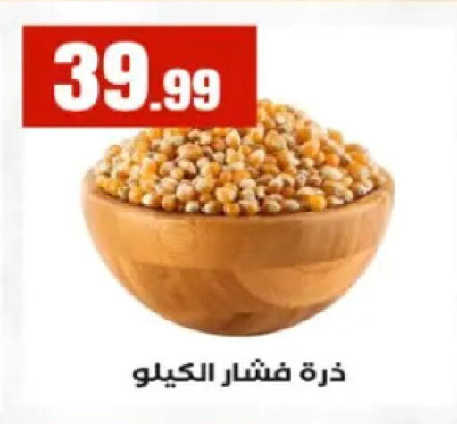 available at El Mahlawy Stores in Egypt - Cairo