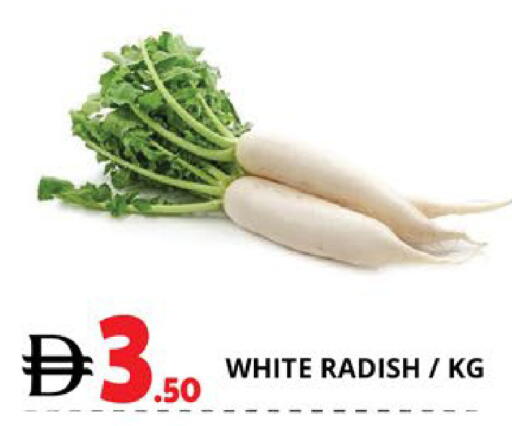 Radish available at اكسبرس المدينة هايبرماركت in الإمارات العربية المتحدة , الامارات - أبو ظبي