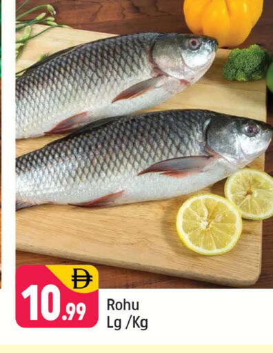 available at شكلان ماركت in الإمارات العربية المتحدة , الامارات - دبي