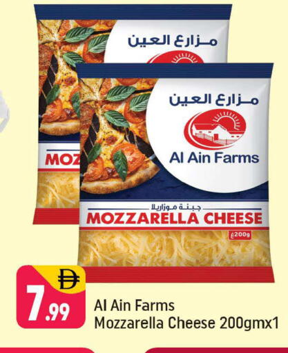 available at شكلان ماركت in الإمارات العربية المتحدة , الامارات - دبي