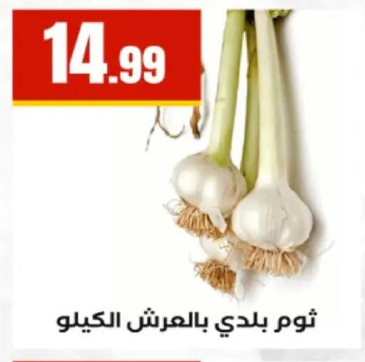 available at El Mahlawy Stores in Egypt - Cairo