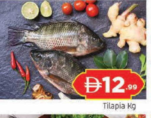 available at المدينة in الإمارات العربية المتحدة , الامارات - الشارقة / عجمان