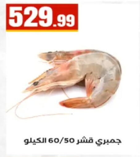 available at El Mahlawy Stores in Egypt - Cairo