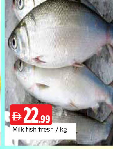 available at المدينة in الإمارات العربية المتحدة , الامارات - الشارقة / عجمان