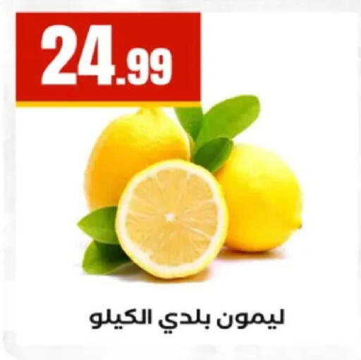 available at El Mahlawy Stores in Egypt - Cairo
